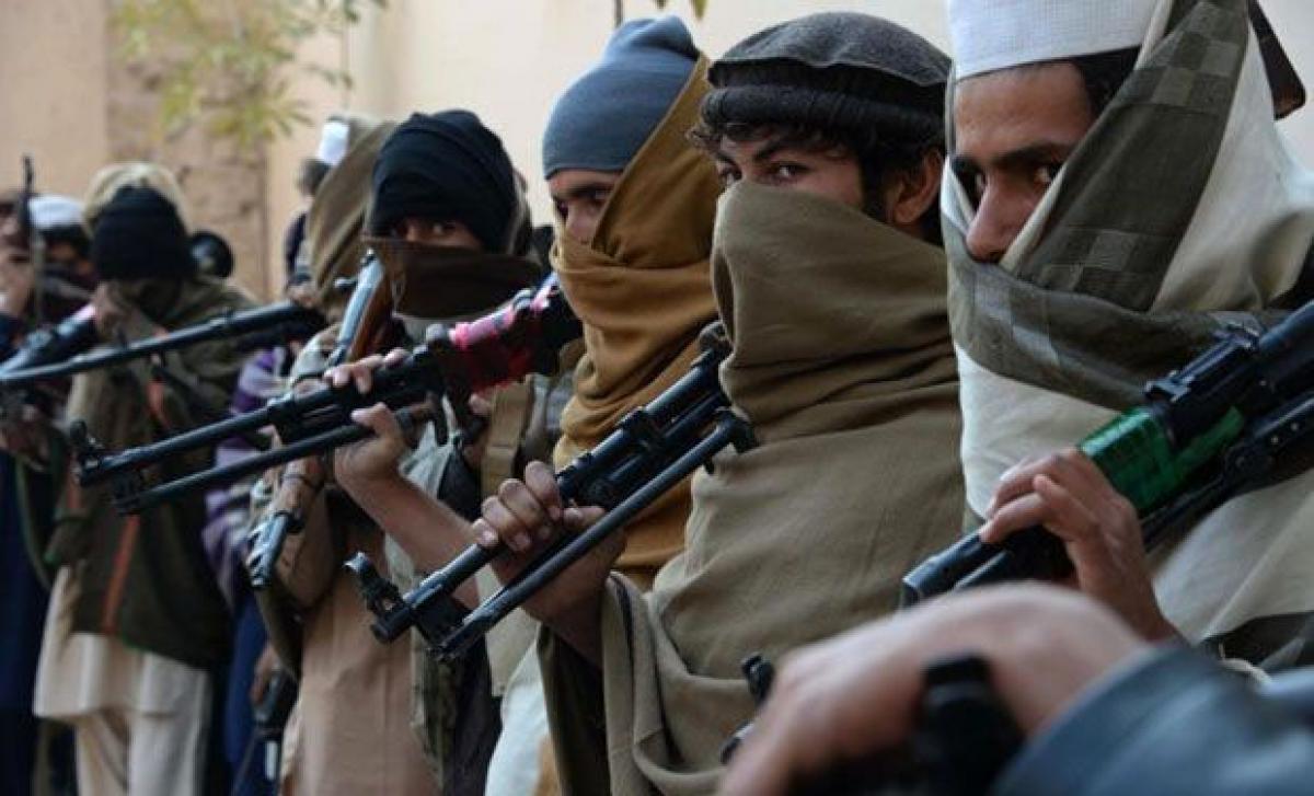 Pakistan Taliban killed 686 people in 2015?